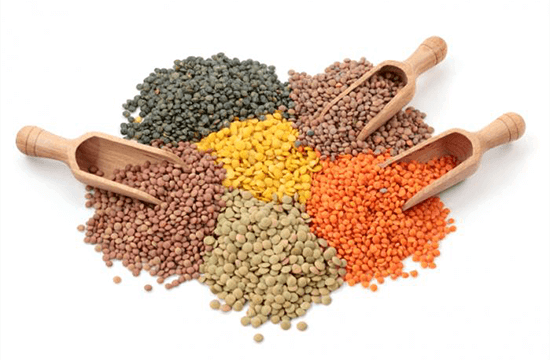 different kinds of lentils