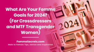 What Are Your Femme Goals For 2024 For Crossdressers And MTF   2024 Goals Mtf FI V1 312x172 