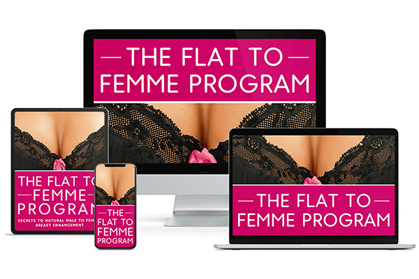 Flat to Femme Program banner