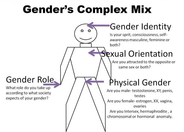 GendersComplexMix.jpg